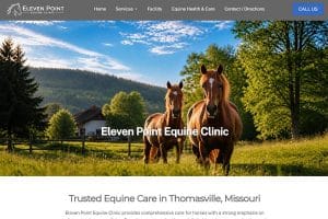 Eleven Point Equine Clinic|https://1stpreview.com/